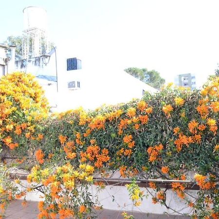 Casa Colonial En Salta Nueva Y Antigua Lejlighed Eksteriør billede